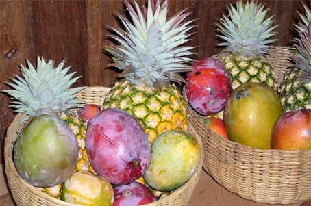 fruticad 3
